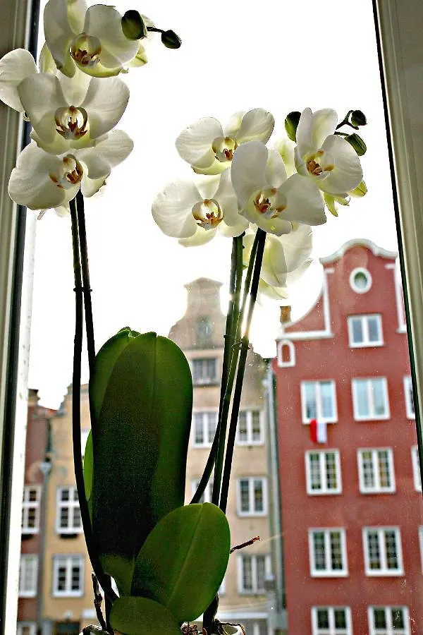 Apartament Art Old Town Daire Gdansk Polonya